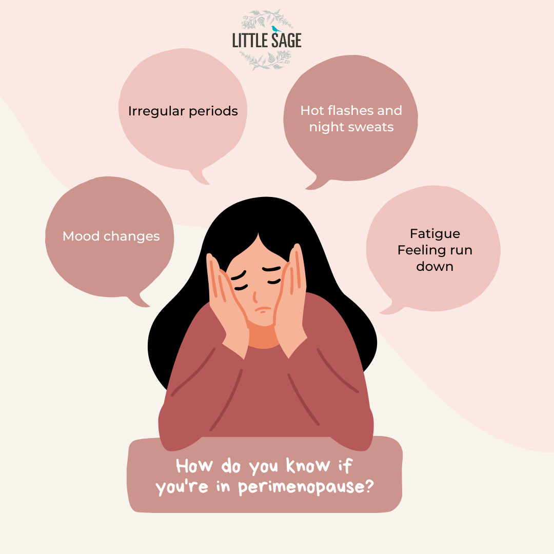 Perimenopause Long Periods and Other Changes
