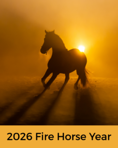Horse in front of bright light fire horse year
