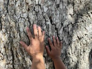 Mother and daughter hands on tree